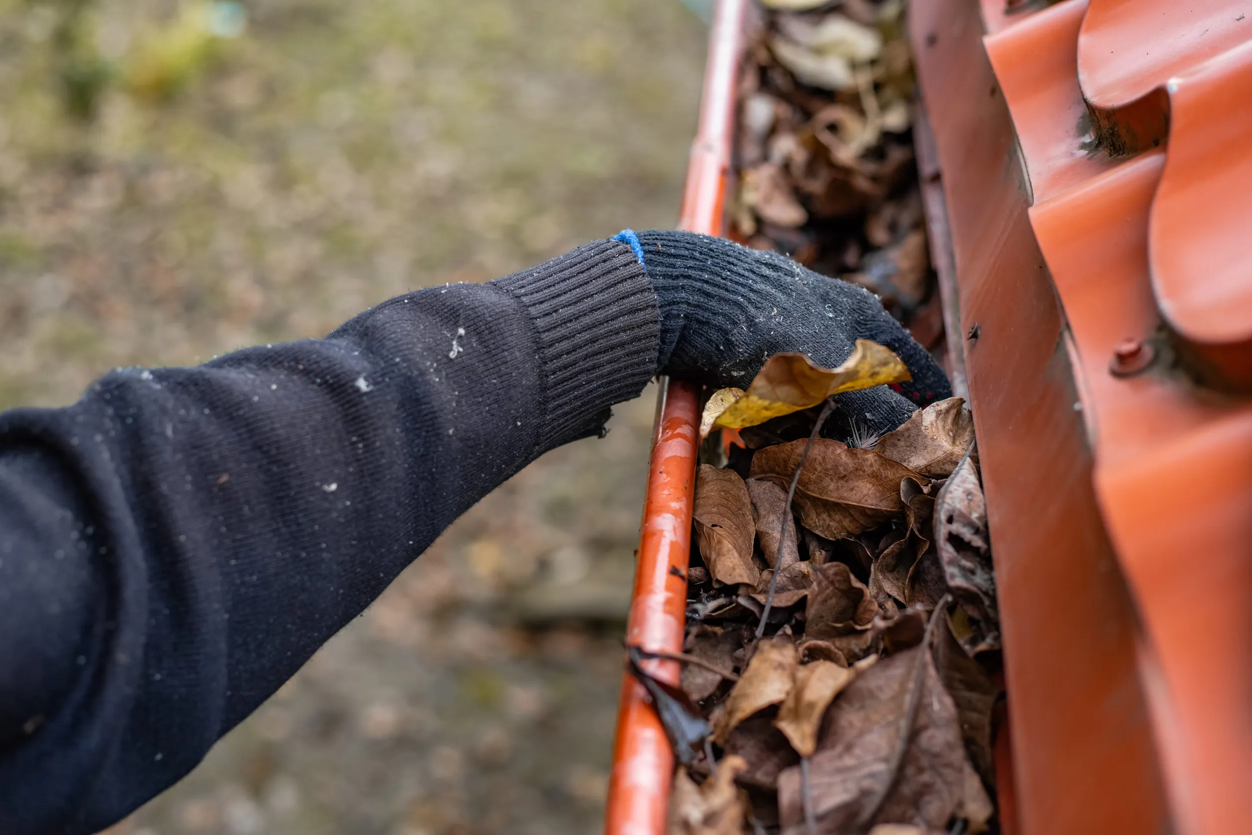 A man wearing gloves removes fallen leaves and debris from a gutter under a red metal tile roof