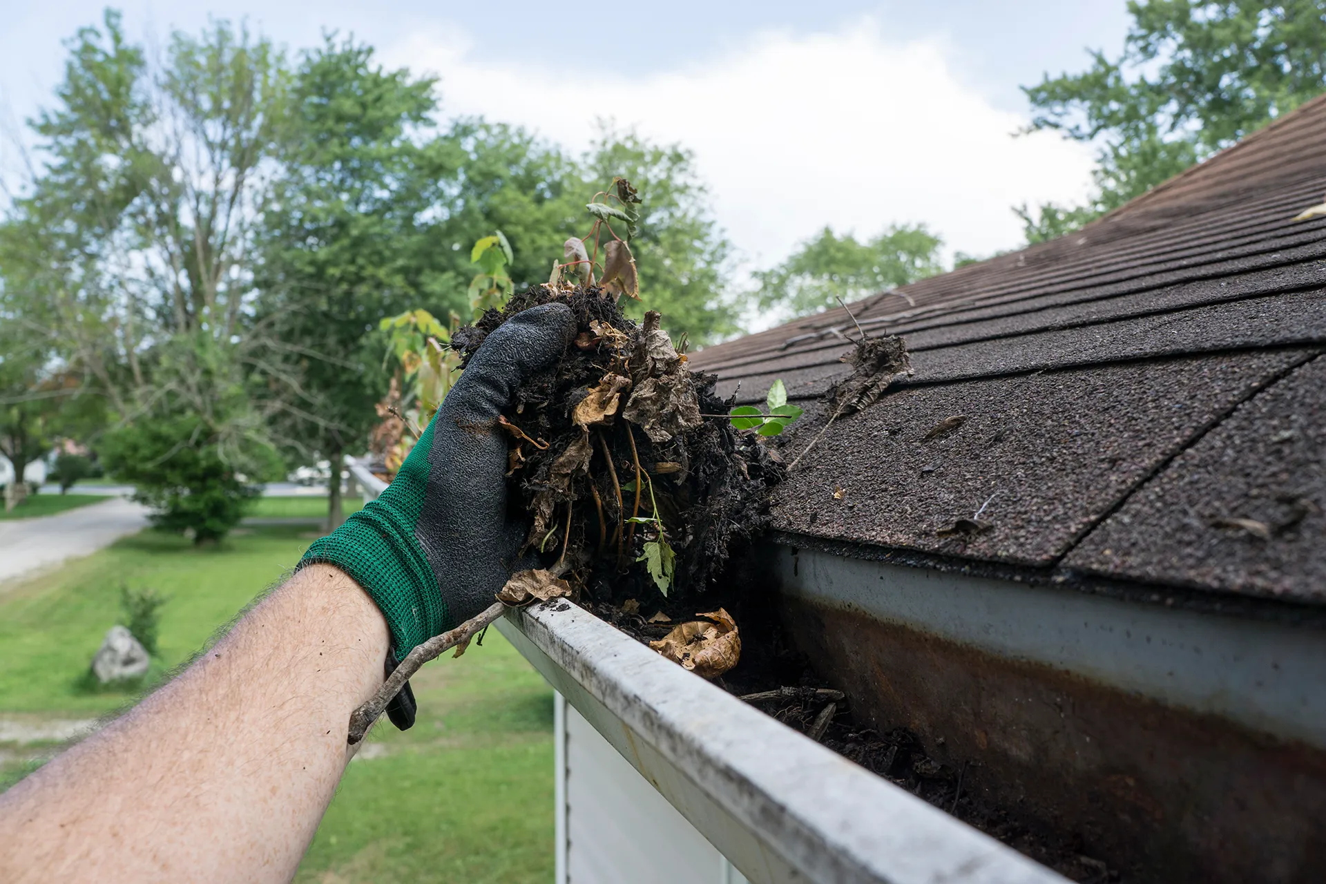A person wearing a work glove pulling a handful of wet leaves and debris out of a clogged gutter