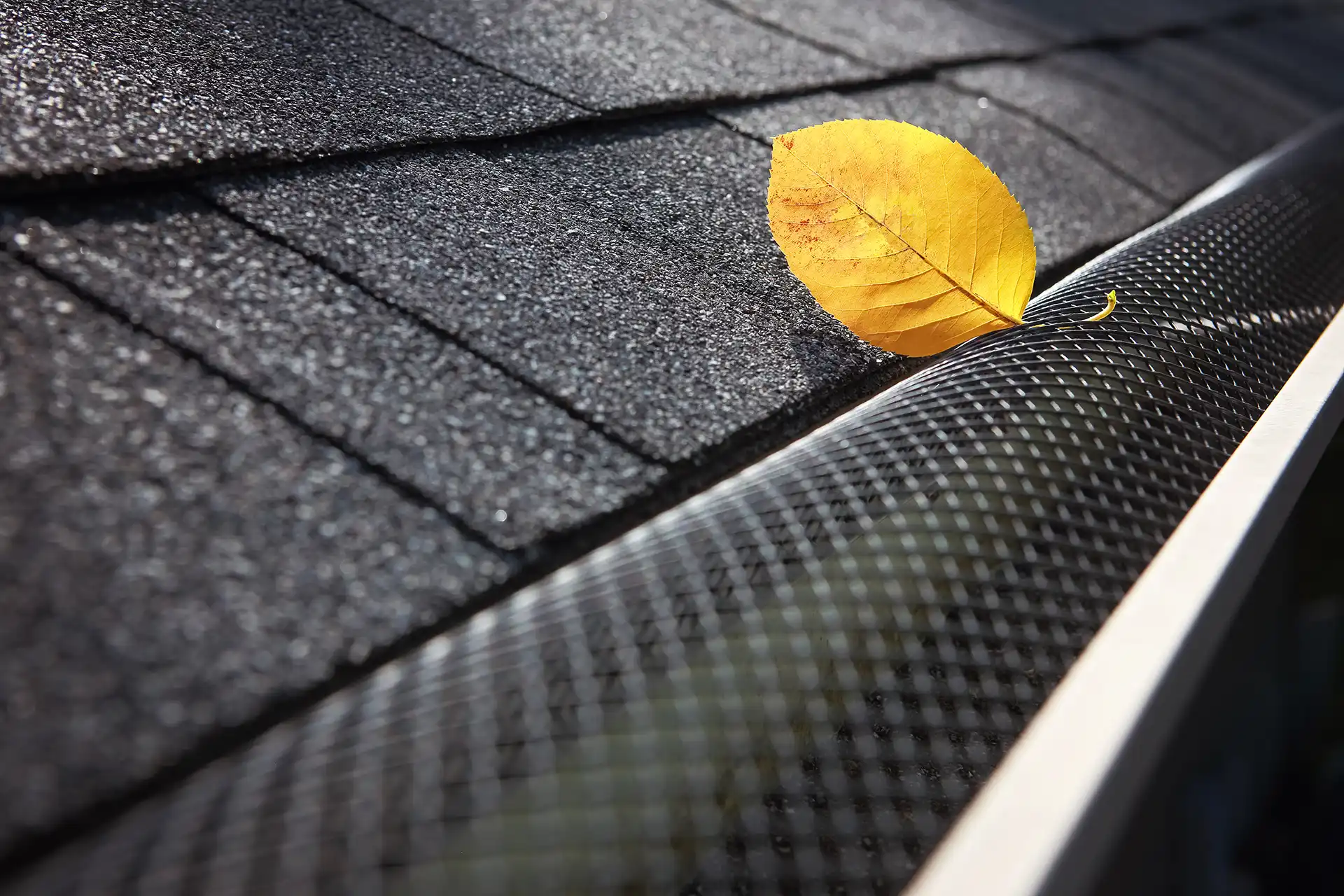 Close-up of a mesh gutter guard protecting a gutter from debris with a single yellow leaf on top